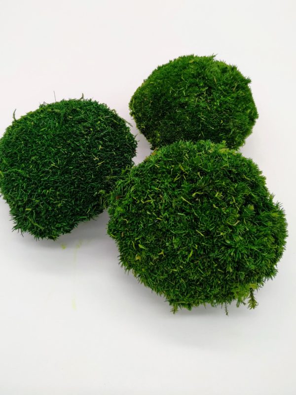 Kopčekový mach Mini prírodná zelená