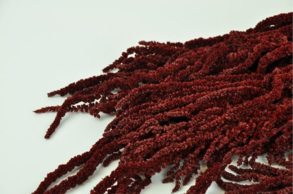 Stabilizovaný Amarant červený 150g