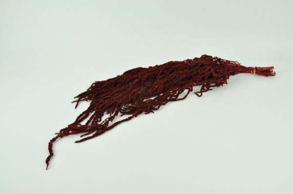 Stabilizovaný Amarant červený 150g