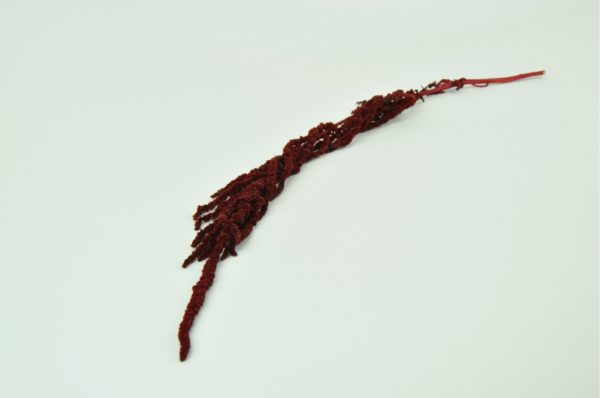 Stabilizovaný Amarant červený 150g