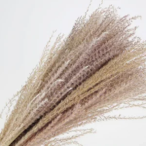 Sušená tráva Miscanthus prirodna zväzok 70 cm