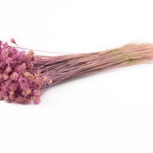 Sušené horské kvety fialová
