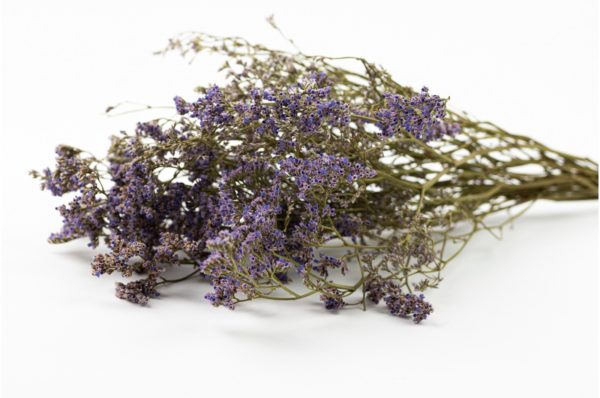 Sušené Limonium fialová