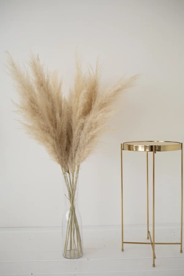 Sušená tráva Pampas svetlá 100 cm