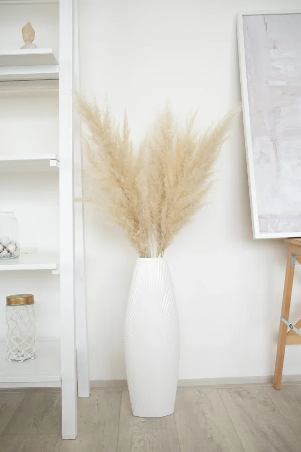 Sušená tráva Pampas prírodná 100 cm