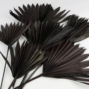 Palmové listy Sun čierne